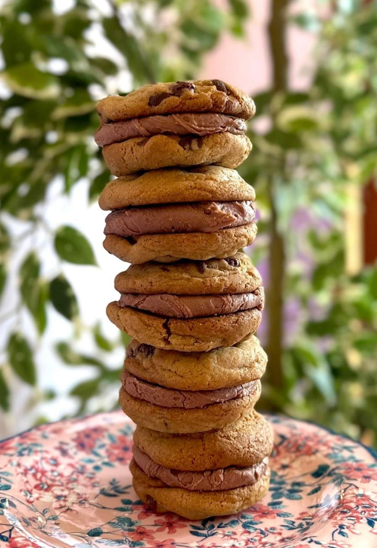 Chocolate Chip Cookie Sandwich